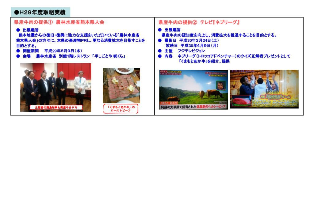 H29牛肉協議会概要_3のサムネイル