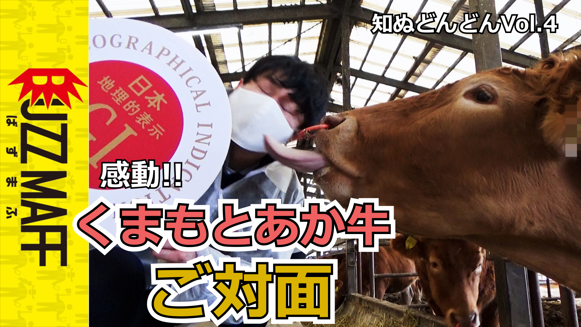 知ぬどんどんvol.4 サムネイル